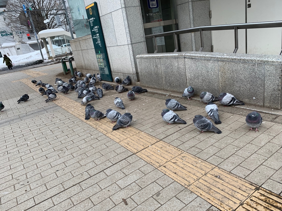 f:id:e-genelog:20190417030633j:plain