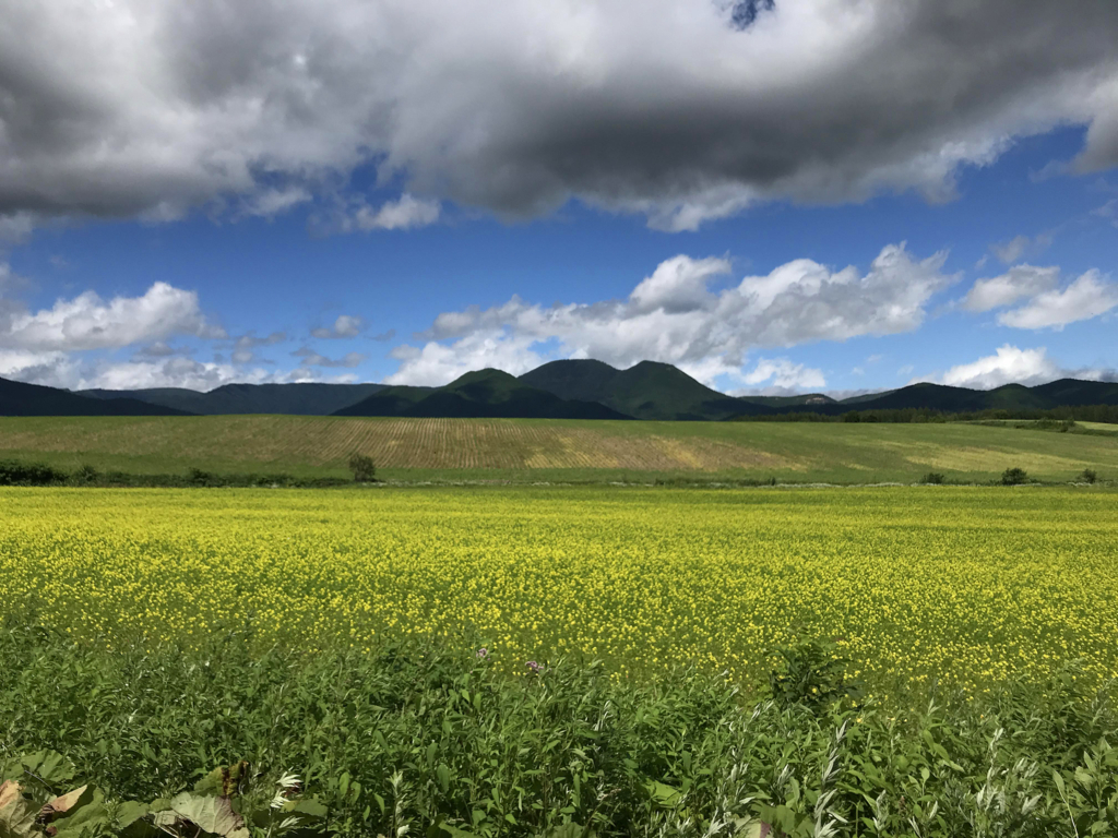 f:id:e-ichi_hokkaido:20180726095837j:plain f:id:e-ichi_hokkaido:20180726095837j:plain