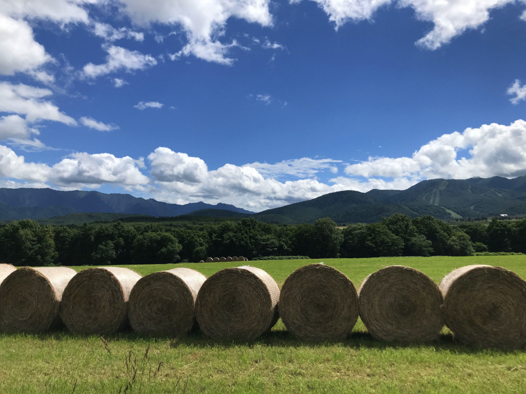 f:id:e-ichi_hokkaido:20180726095903j:plain f:id:e-ichi_hokkaido:20180726095903j:plain