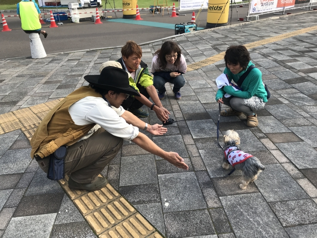 f:id:e-ichi_hokkaido:20180726095930j:plain f:id:e-ichi_hokkaido:20180726095930j:plain