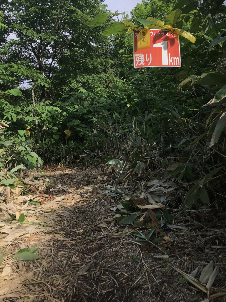 f:id:e-ichi_hokkaido:20180726170824j:plain f:id:e-ichi_hokkaido:20180726170824j:plain
