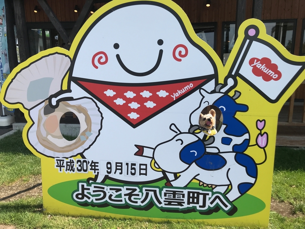 f:id:e-ichi_hokkaido:20180920134323j:plain