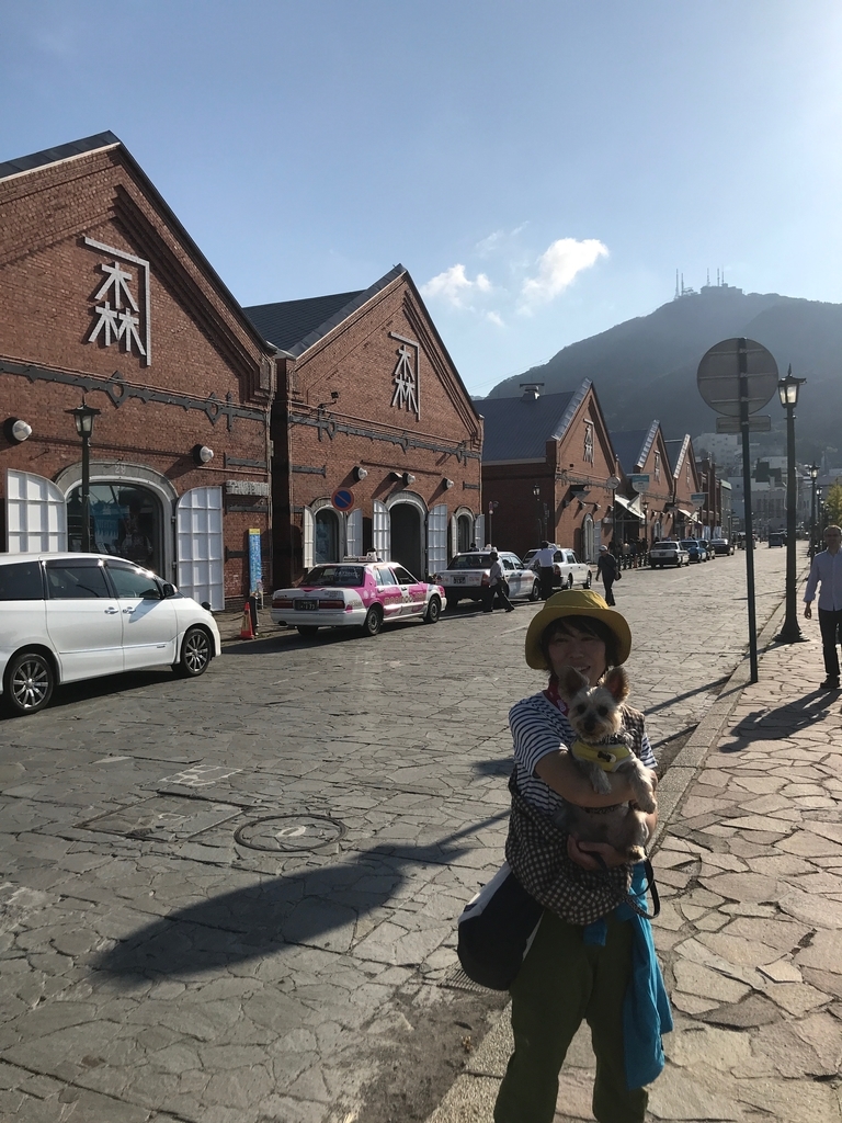f:id:e-ichi_hokkaido:20180920135929j:plain