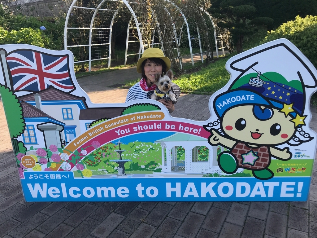 f:id:e-ichi_hokkaido:20180920140139j:plain