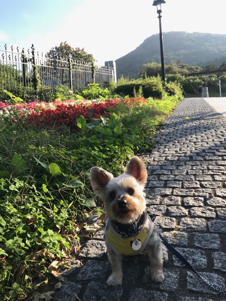 f:id:e-ichi_hokkaido:20180920140157j:plain