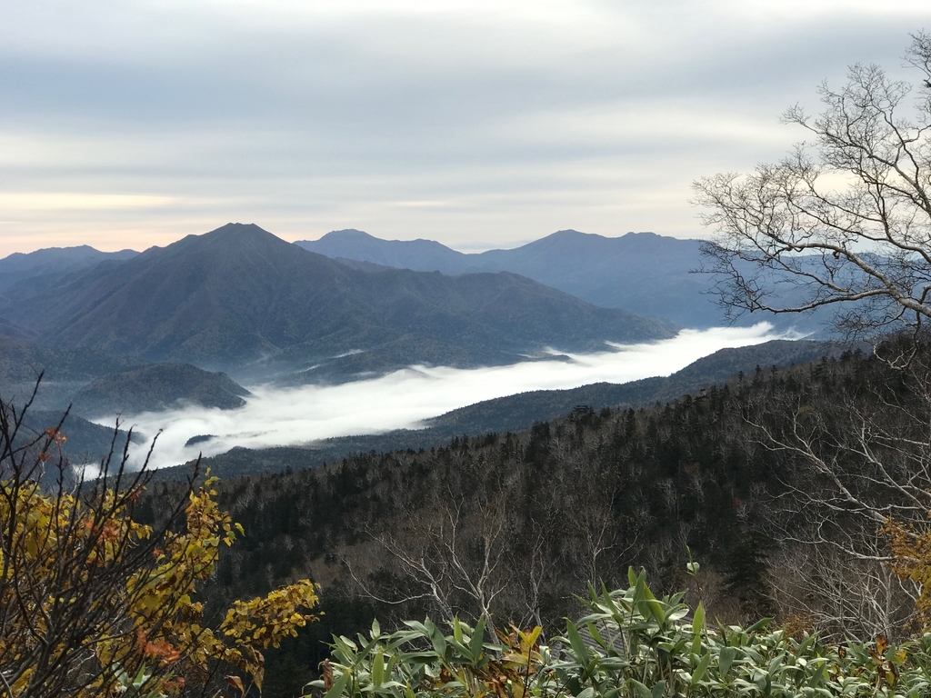f:id:e-ichi_hokkaido:20181001100610j:plain f:id:e-ichi_hokkaido:20181001100610j:plain