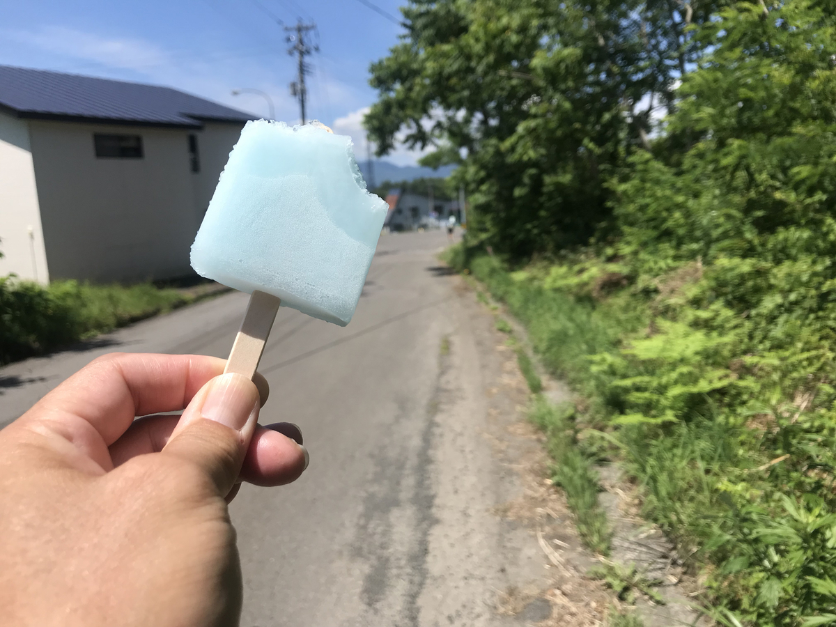 f:id:e-ichi_hokkaido:20190806110907j:plain