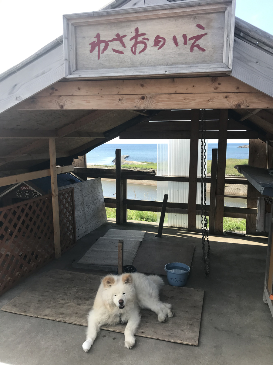 f:id:e-ichi_hokkaido:20190807102029j:plain