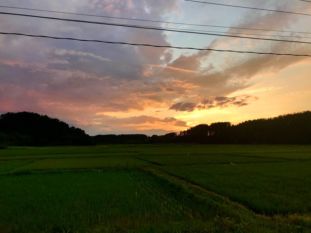f:id:e-ichi_hokkaido:20190807110312j:plain