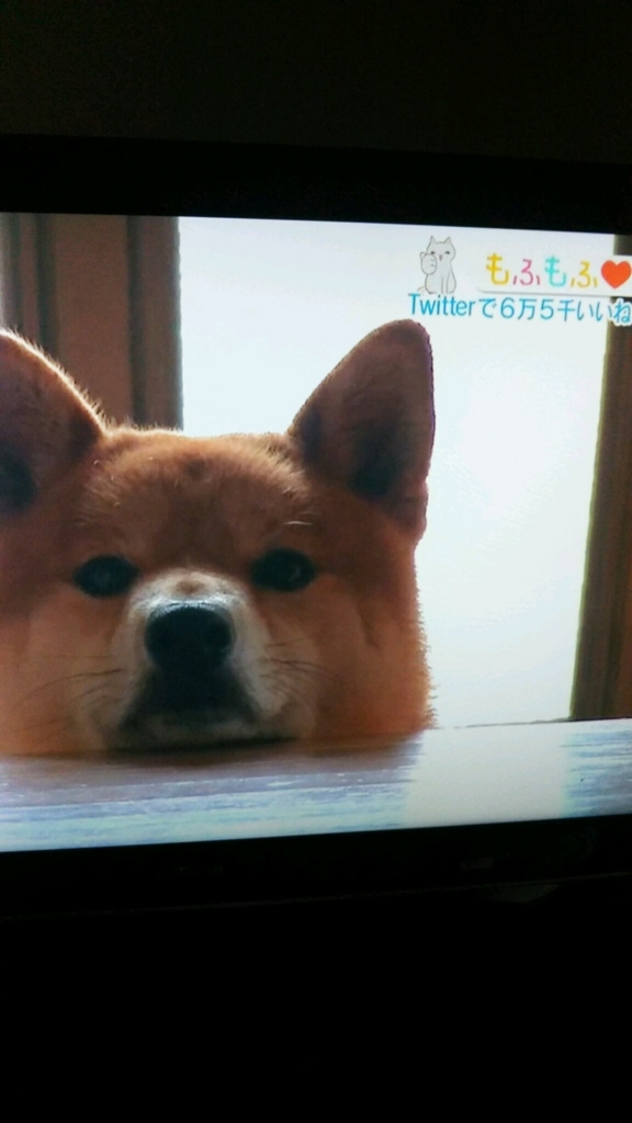 f:id:e-keiko:20180610144852j:plain f:id:e-keiko:20180610144852j:plain