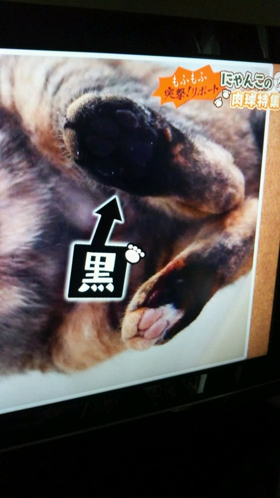 f:id:e-keiko:20180610144919j:plain f:id:e-keiko:20180610144919j:plain