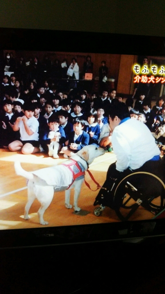 f:id:e-keiko:20180610153219j:plain f:id:e-keiko:20180610153219j:plain