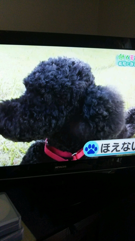 f:id:e-keiko:20180628190417j:plain f:id:e-keiko:20180628190417j:plain