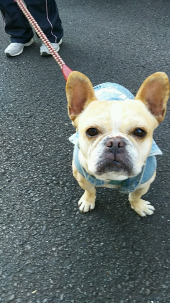 f:id:e-keiko:20180711131251j:plain f:id:e-keiko:20180711131251j:plain
