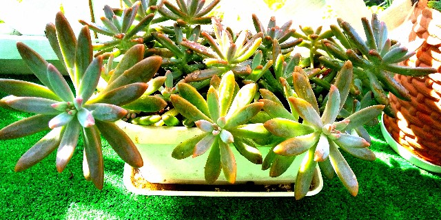 f:id:e-kotantan:20200825091119j:image