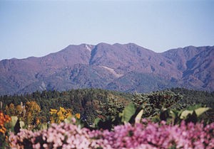 f:id:e-kotantan:20200831183038j:plain