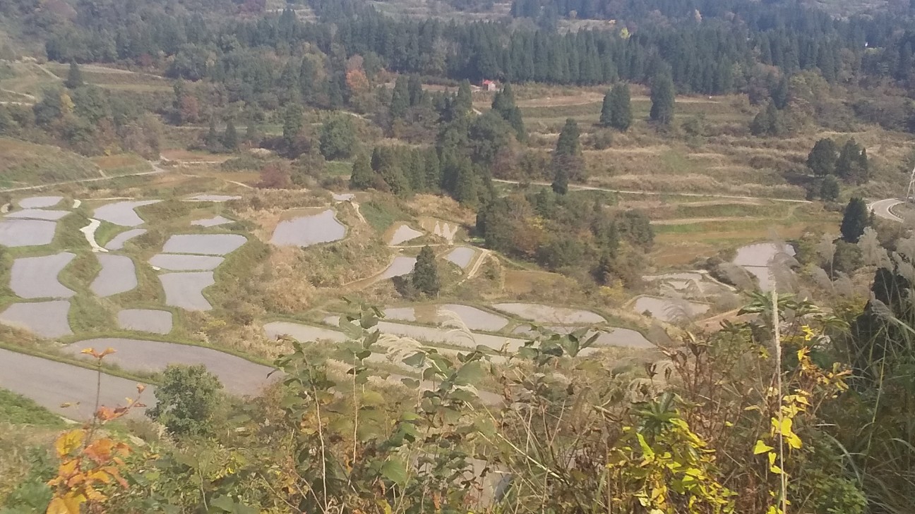 f:id:e-kotantan:20201102183238j:image