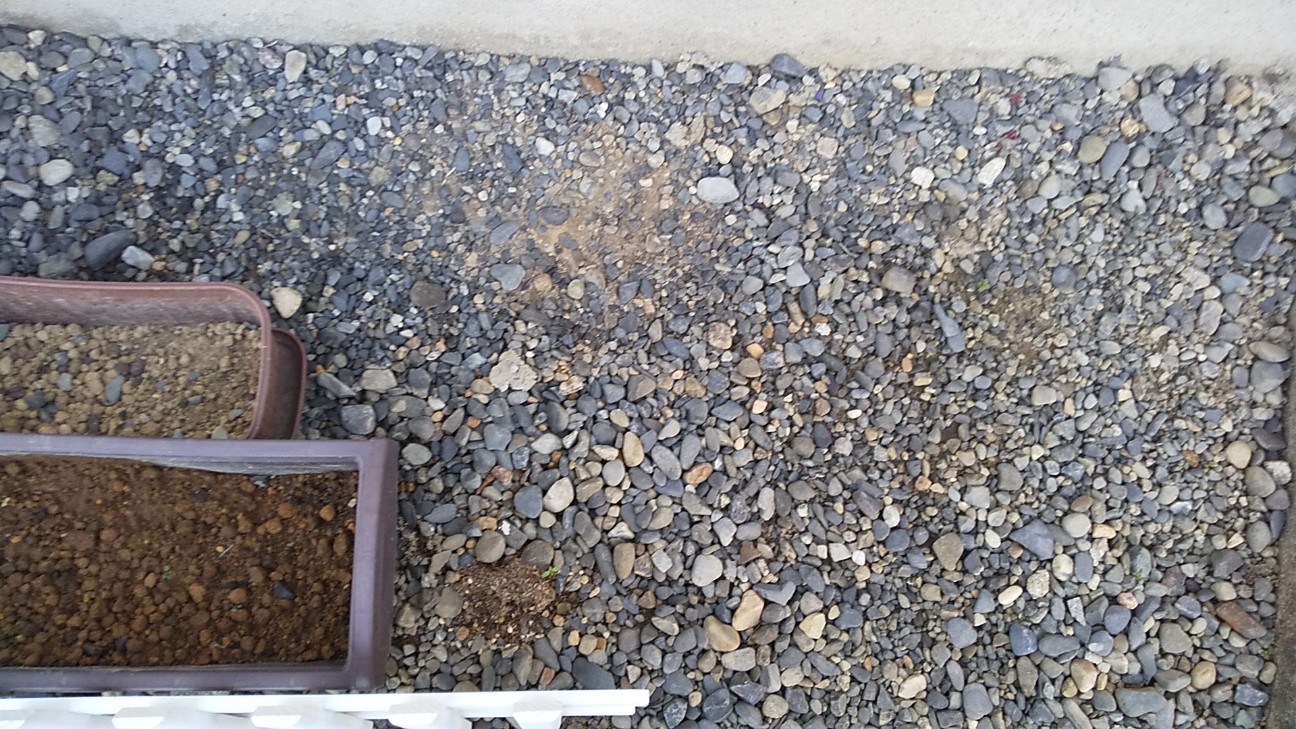 f:id:e-kotantan:20201117160002j:image