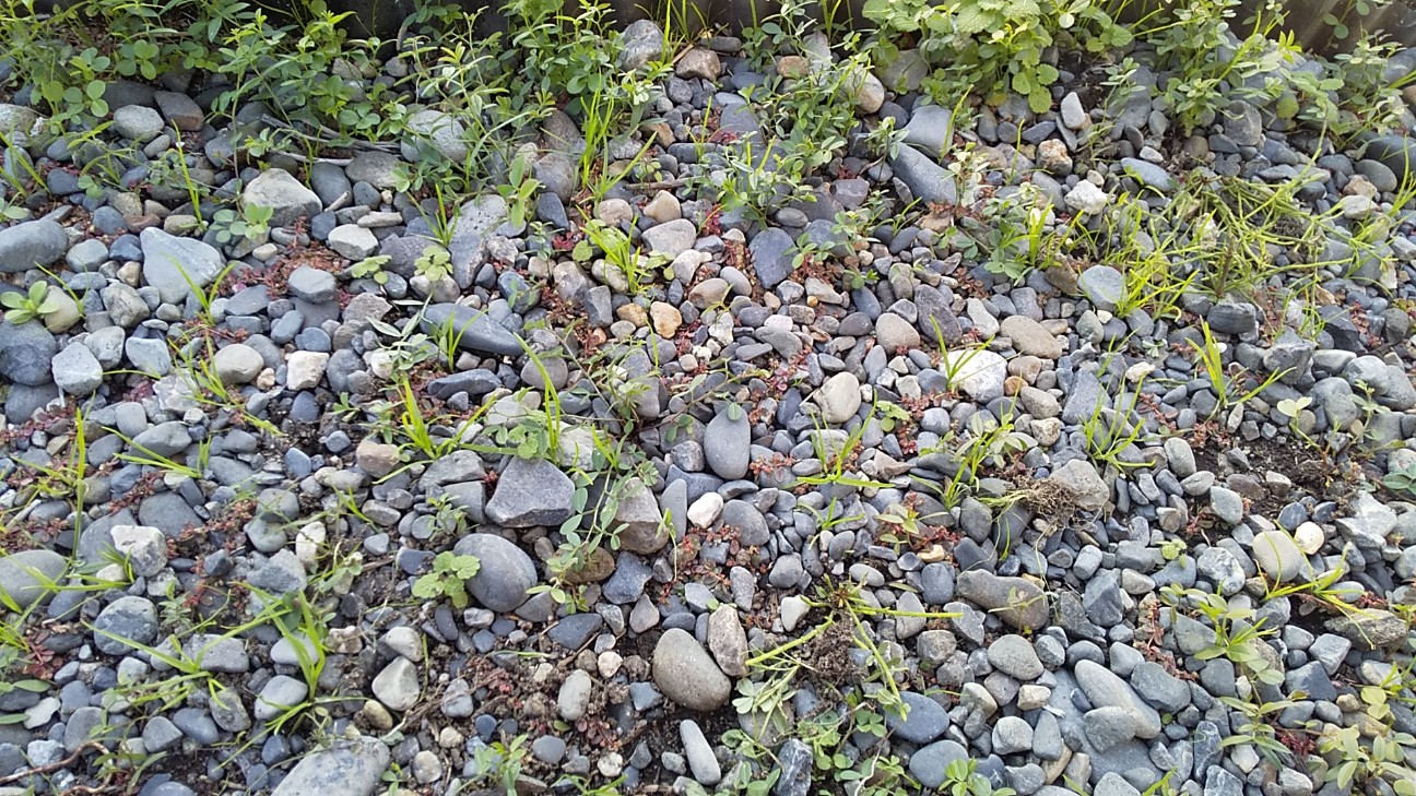 f:id:e-kotantan:20201117160333j:image