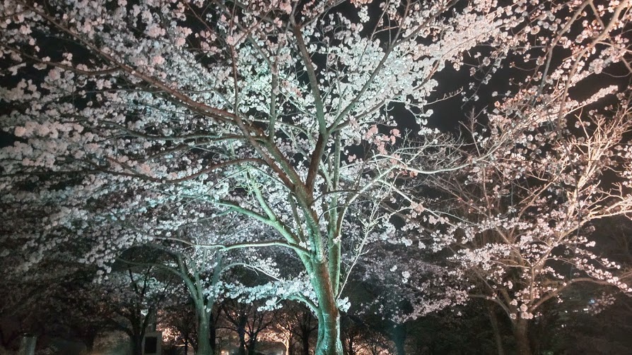 f:id:e-kotantan:20210330153726j:plain