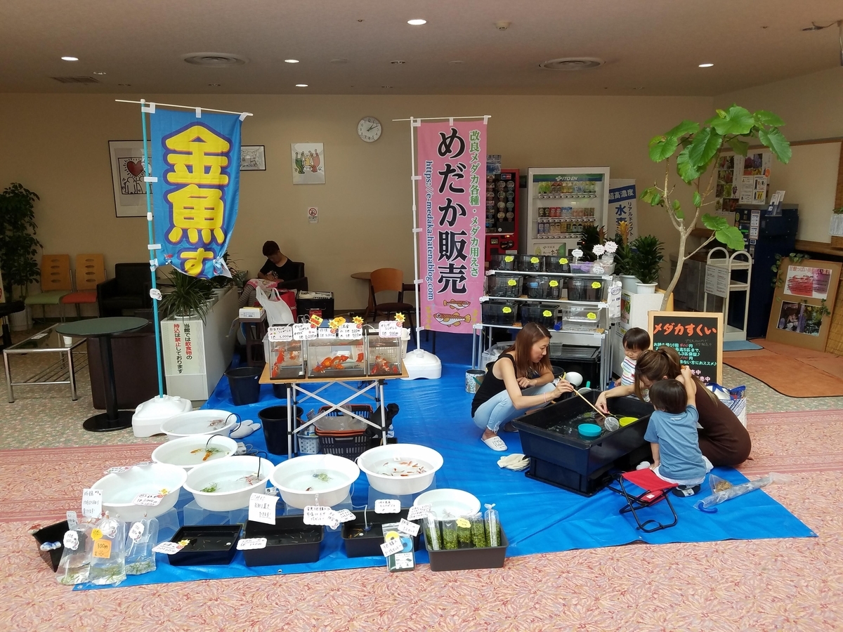 f:id:e-medaka-3846:20190710093011j:plain