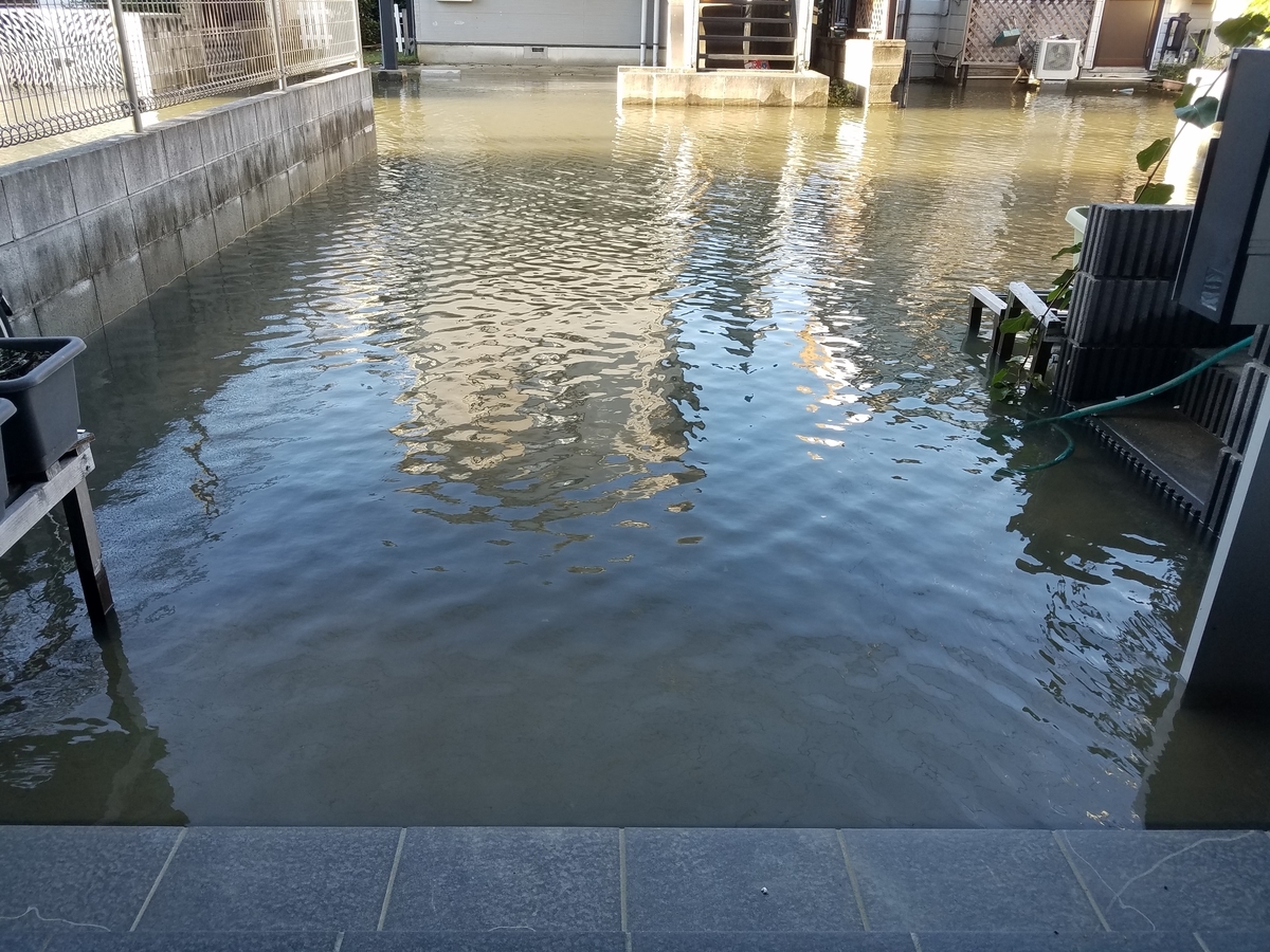 f:id:e-medaka-3846:20191013075041j:plain