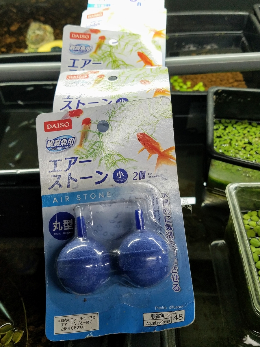f:id:e-medaka-3846:20191028085748j:plain
