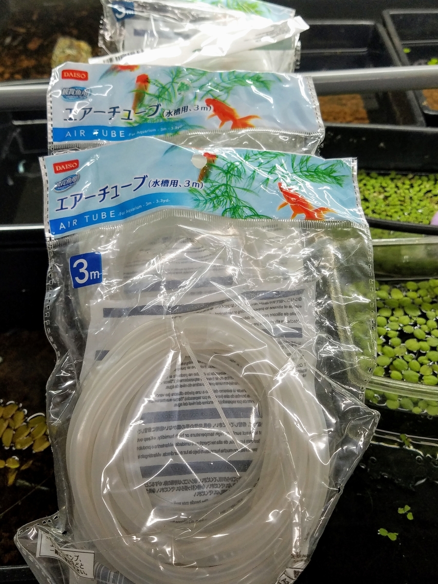 f:id:e-medaka-3846:20191028085819j:plain