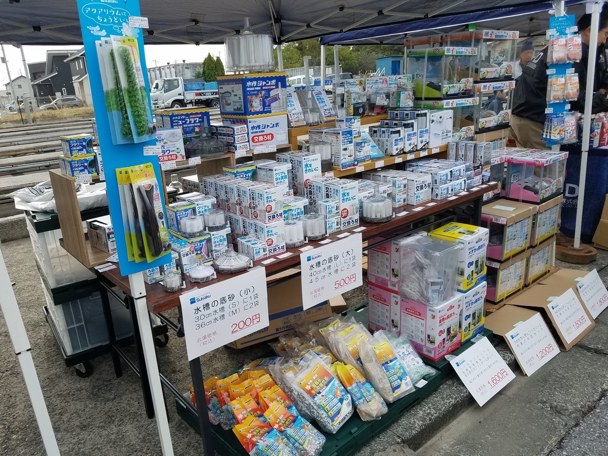 f:id:e-medaka-3846:20191104083624j:plain
