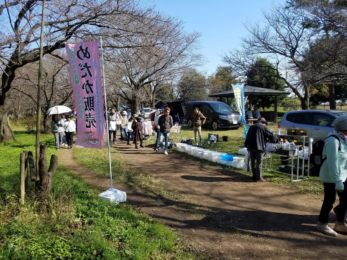 f:id:e-medaka-3846:20191109195613j:plain