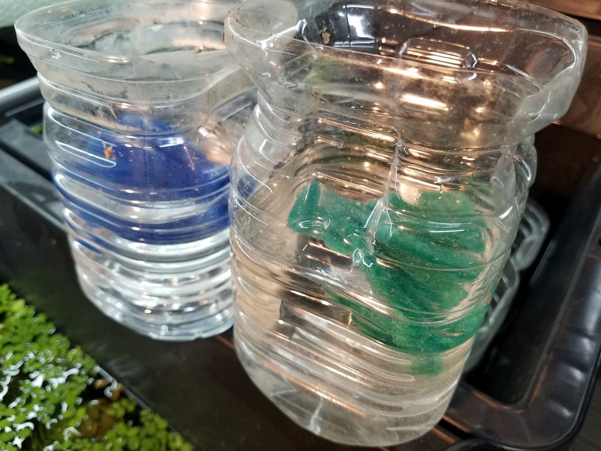 f:id:e-medaka-3846:20191115084959j:plain