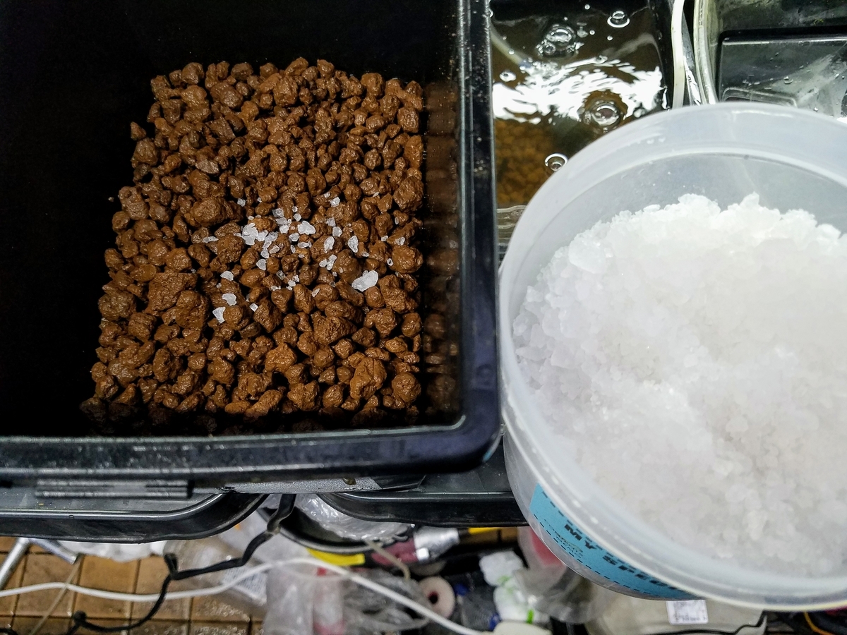 f:id:e-medaka-3846:20191125085808j:plain