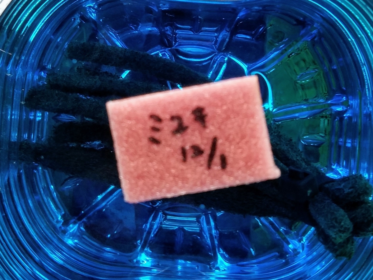 f:id:e-medaka-3846:20191203090027j:plain