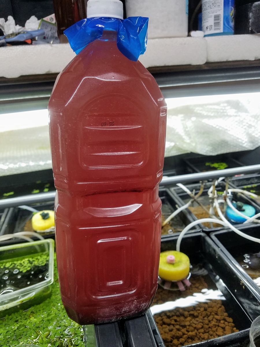 f:id:e-medaka-3846:20191206193030j:plain