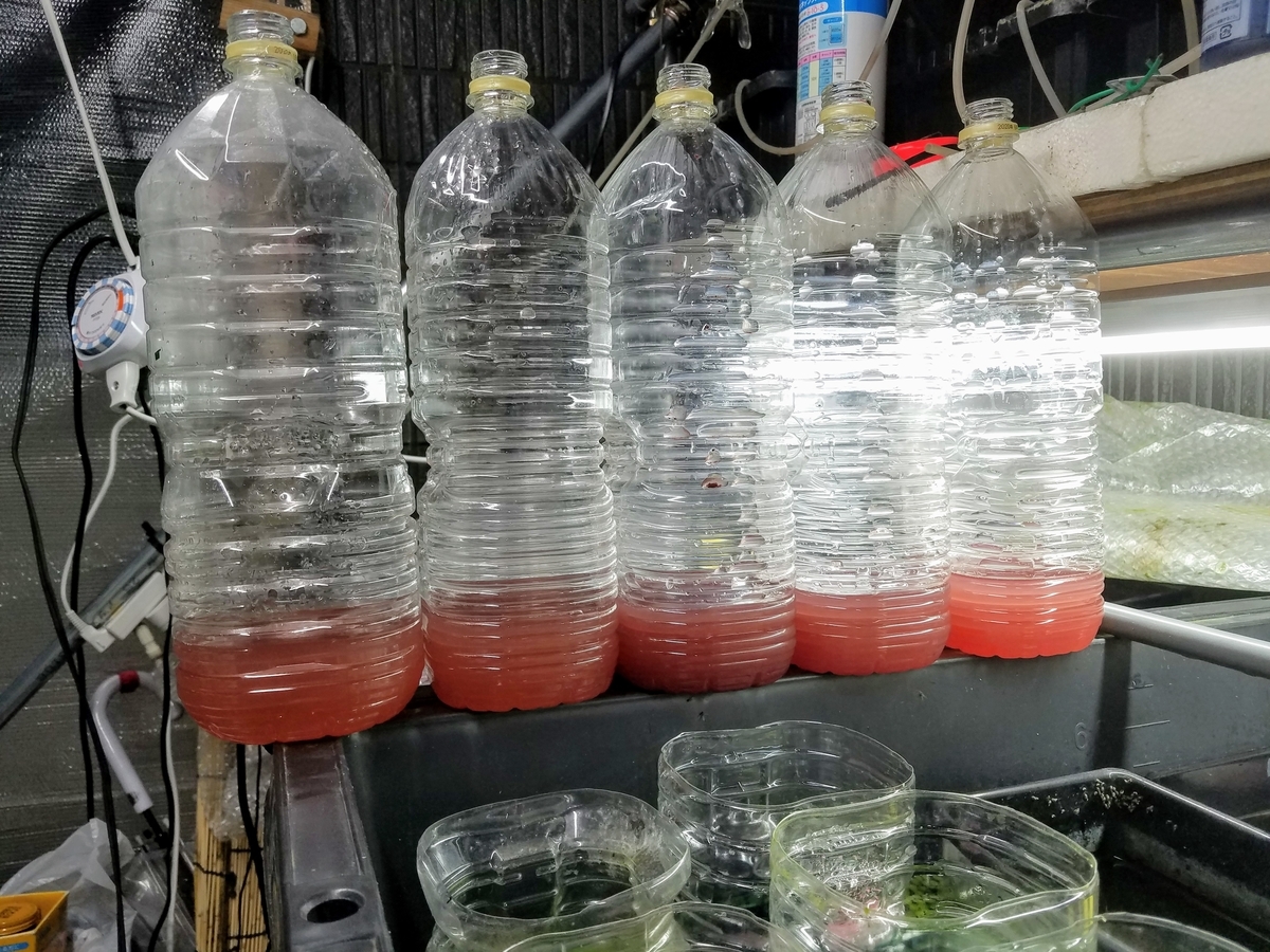 f:id:e-medaka-3846:20191206194048j:plain