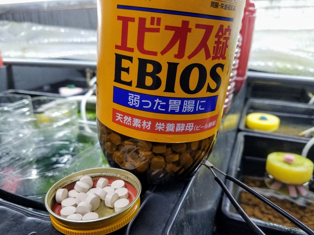 f:id:e-medaka-3846:20191206194120j:plain