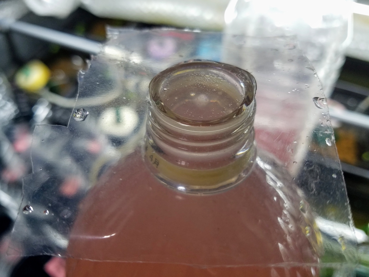 f:id:e-medaka-3846:20191206194242j:plain