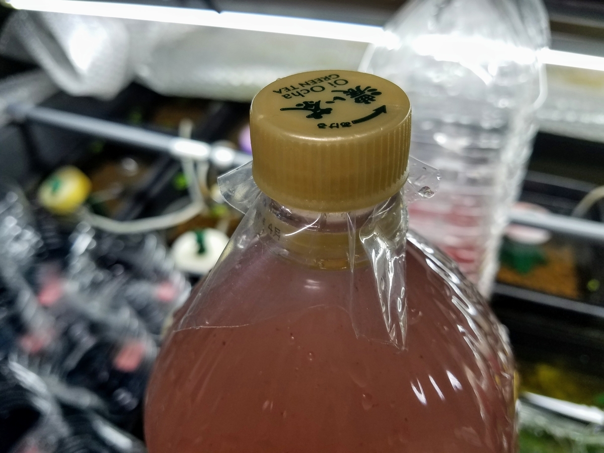 f:id:e-medaka-3846:20191206194312j:plain