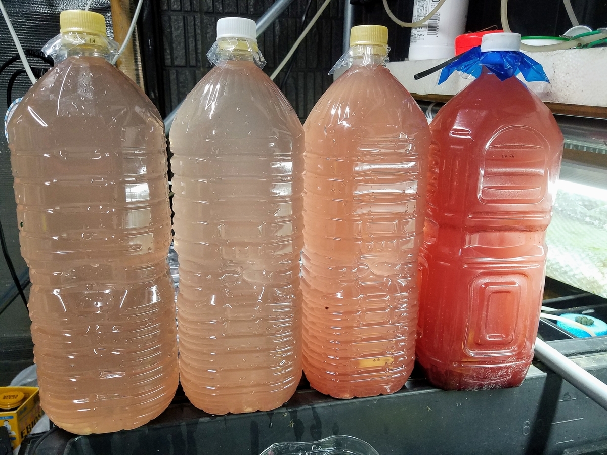 f:id:e-medaka-3846:20191206194422j:plain