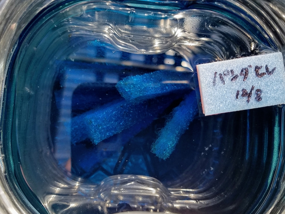 f:id:e-medaka-3846:20191210200532j:plain
