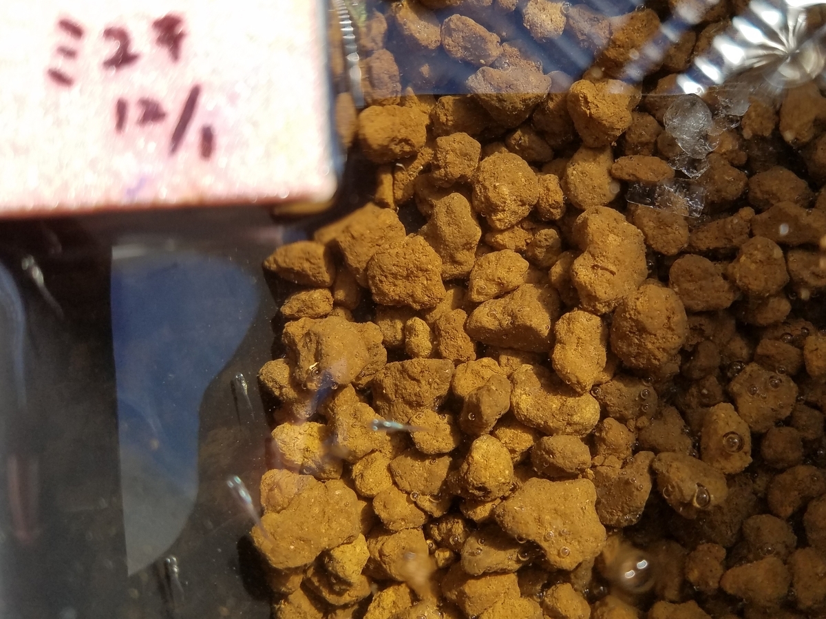 f:id:e-medaka-3846:20191230091107j:plain