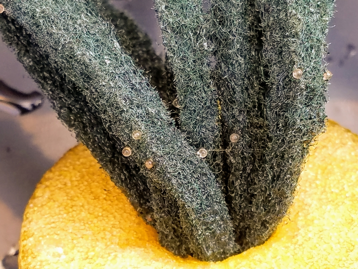 f:id:e-medaka-3846:20200116085540j:plain f:id:e-medaka-3846:20200116085540j:plain