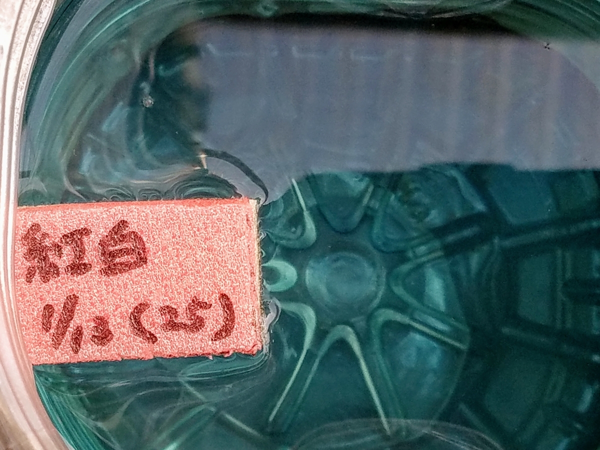 f:id:e-medaka-3846:20200116085605j:plain f:id:e-medaka-3846:20200116085605j:plain