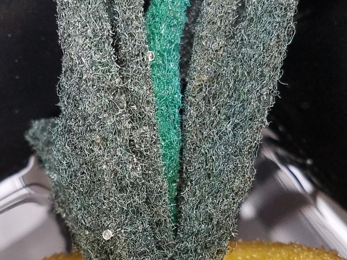 f:id:e-medaka-3846:20200119195524j:plain