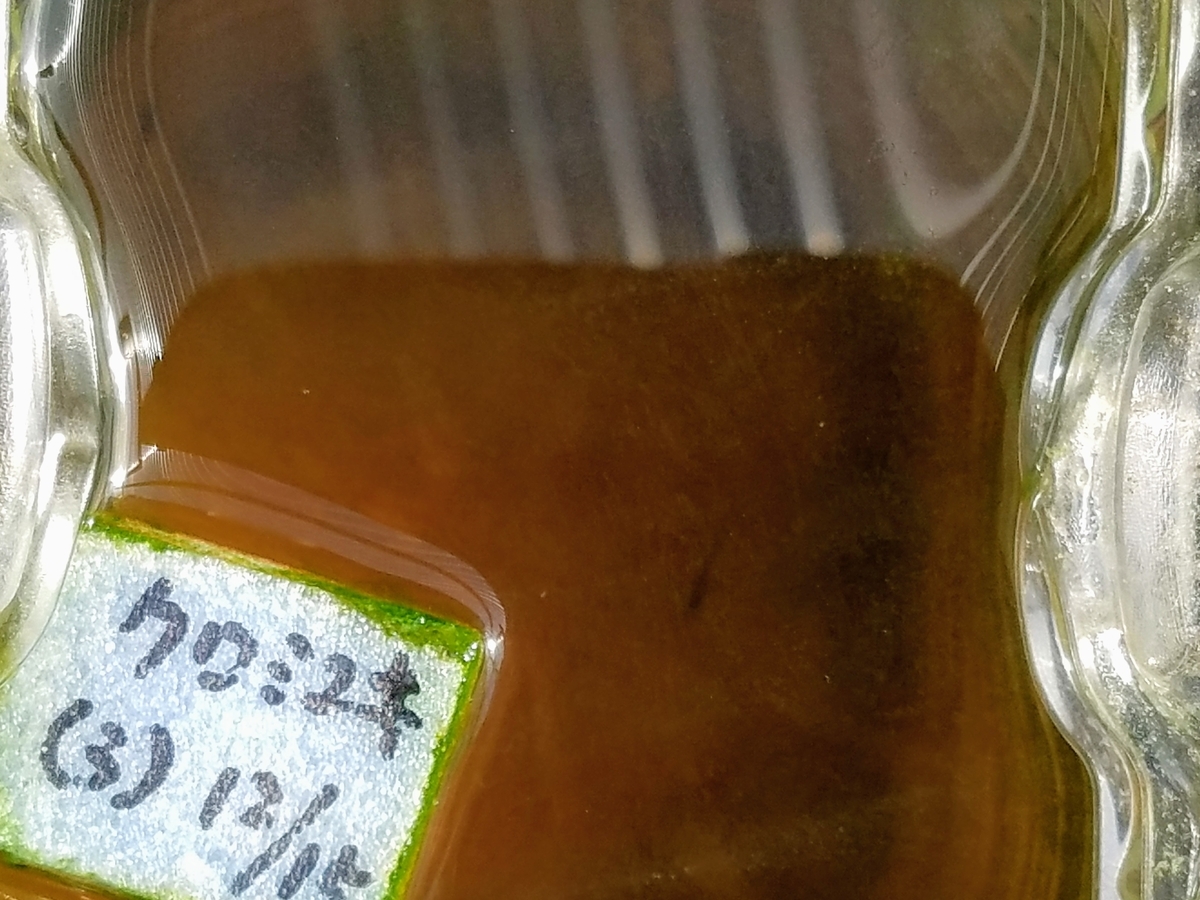 f:id:e-medaka-3846:20200119195808j:plain