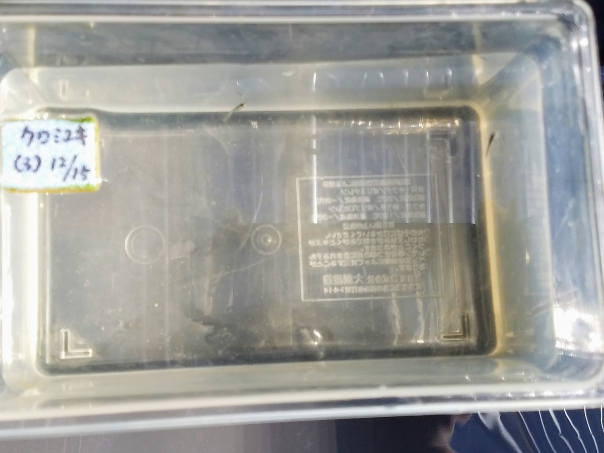 f:id:e-medaka-3846:20200119195842j:plain