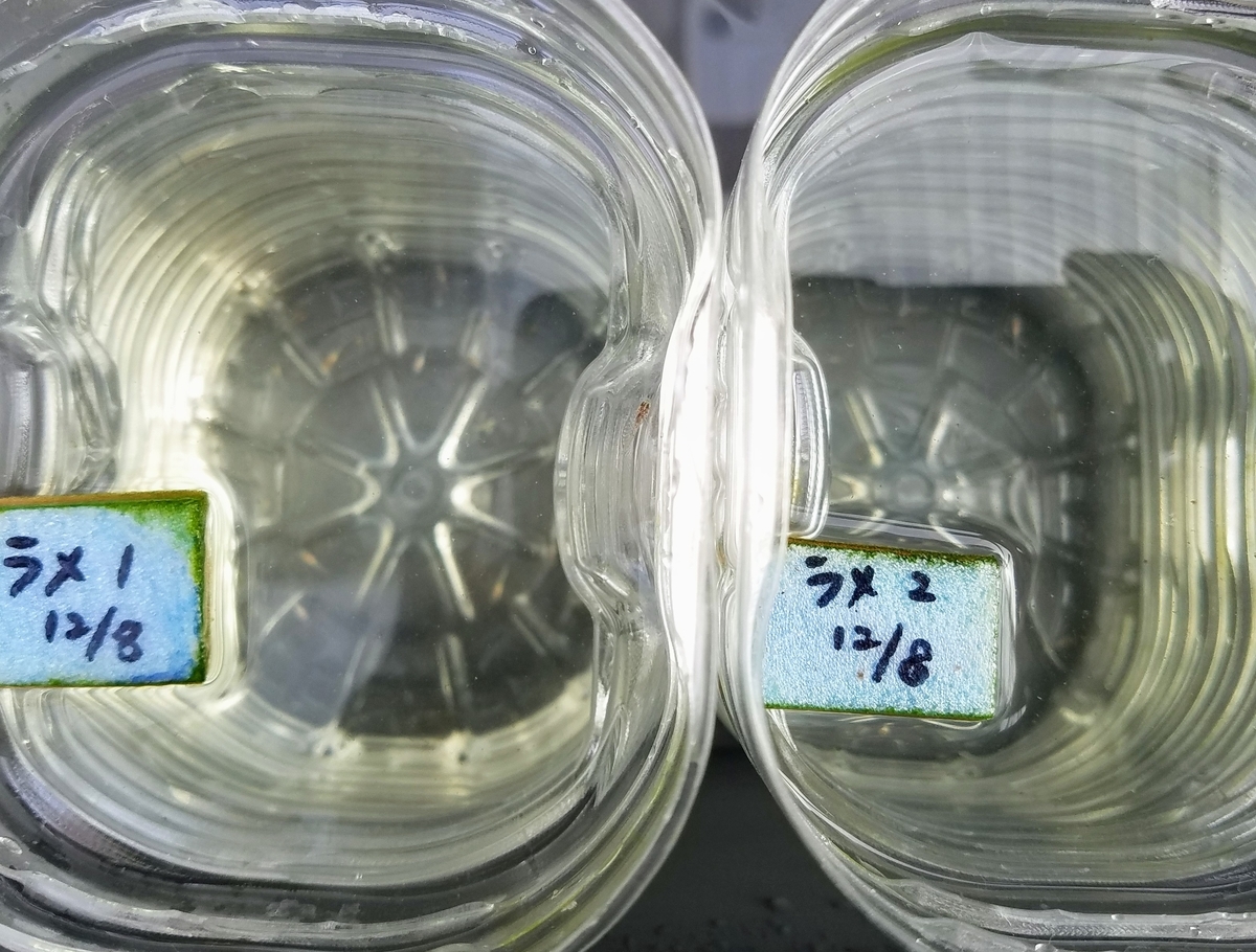 f:id:e-medaka-3846:20200123085942j:plain