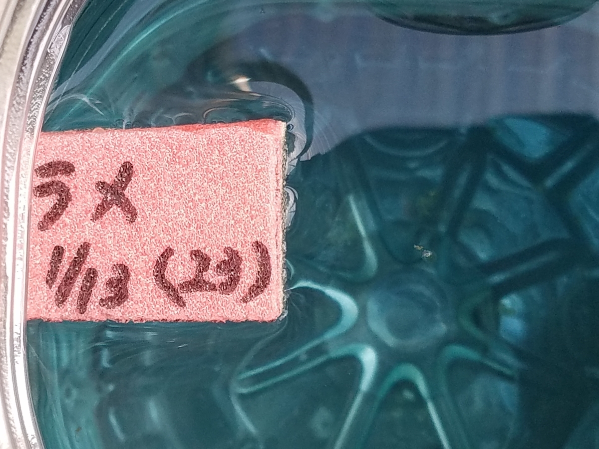 f:id:e-medaka-3846:20200123090114j:plain