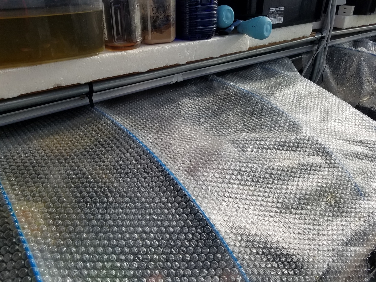 f:id:e-medaka-3846:20200129090113j:plain