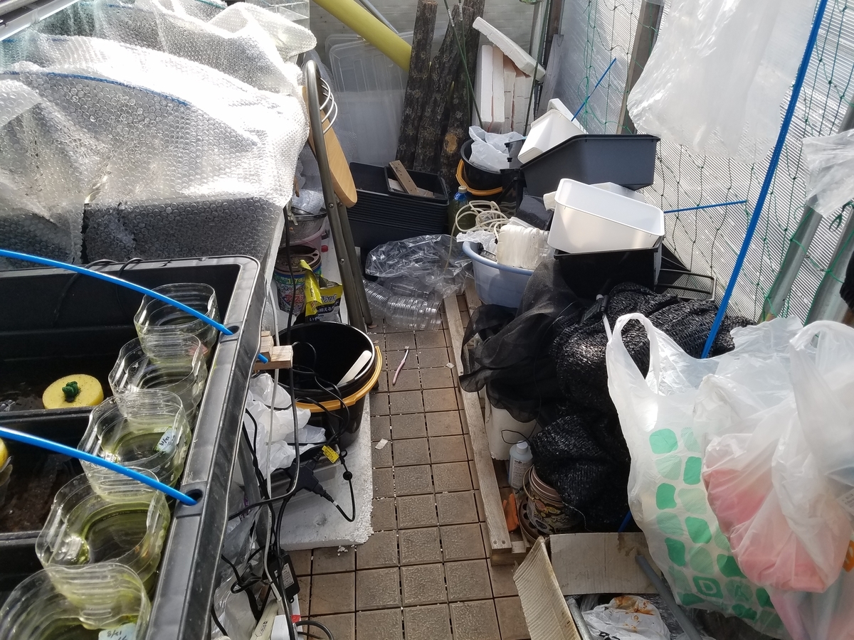 f:id:e-medaka-3846:20200129090308j:plain